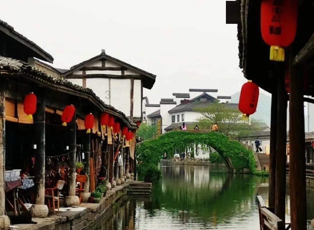 侍忍者