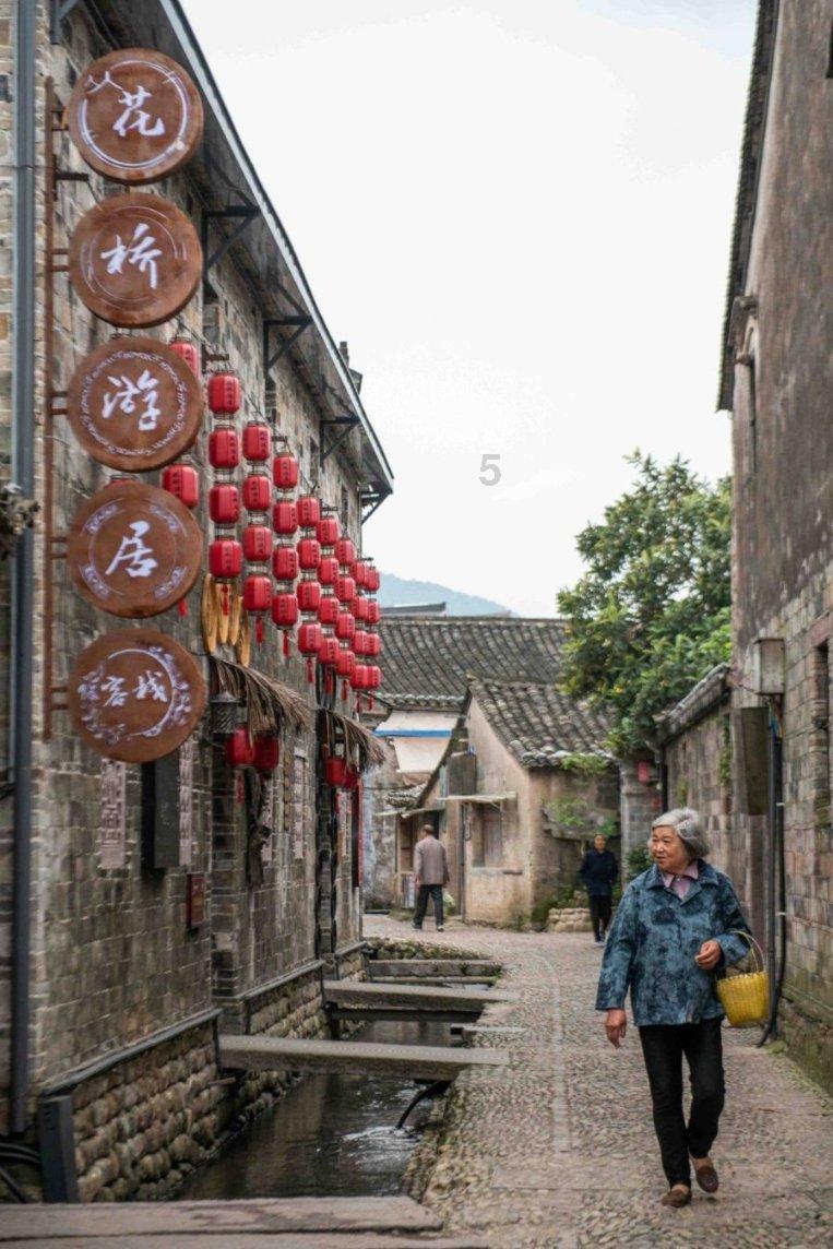 强大的狮子拼图